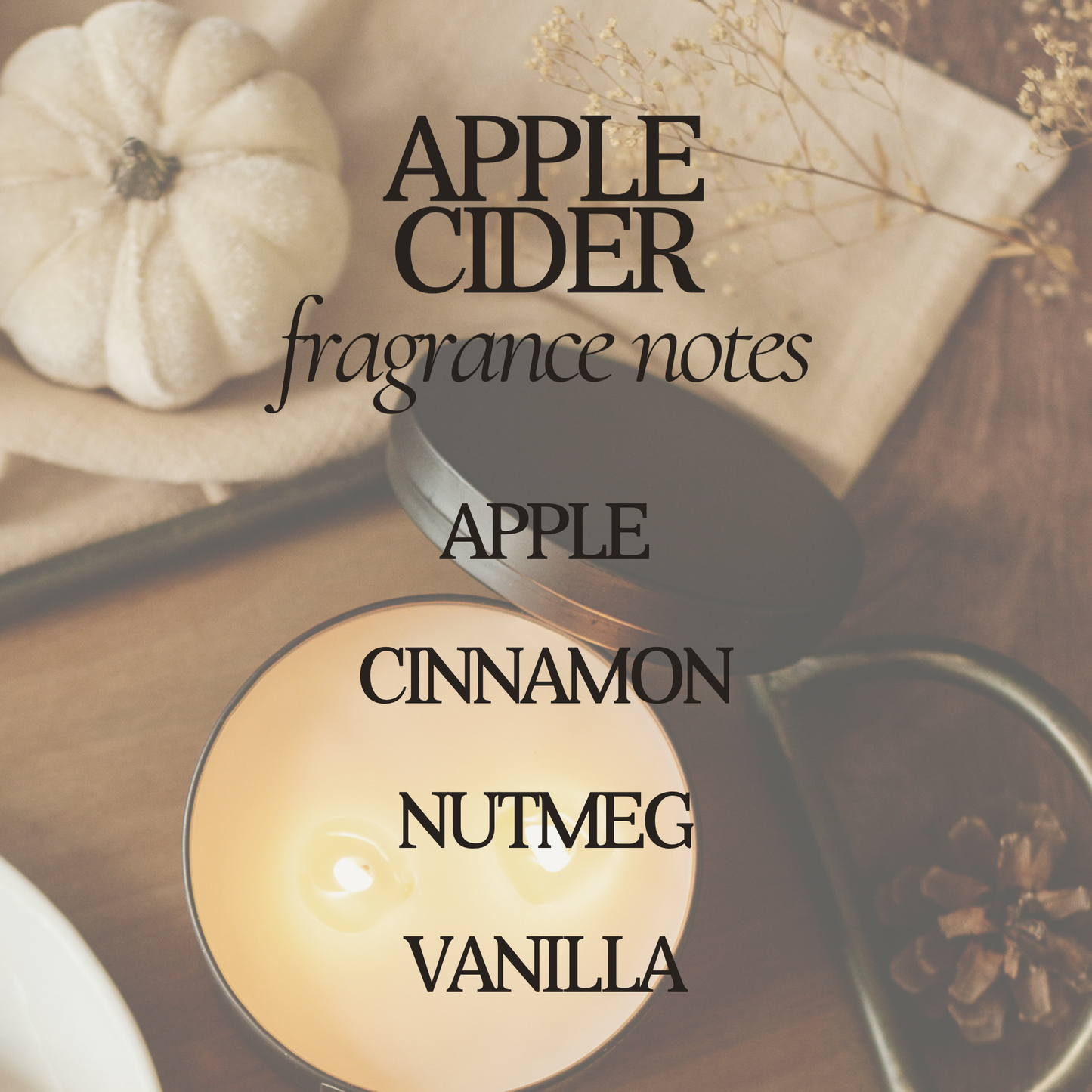 Apple Cider 12 oz Soy Candle - Fall Home Decor & Gifts